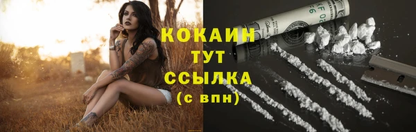 прущие грибы Аркадак