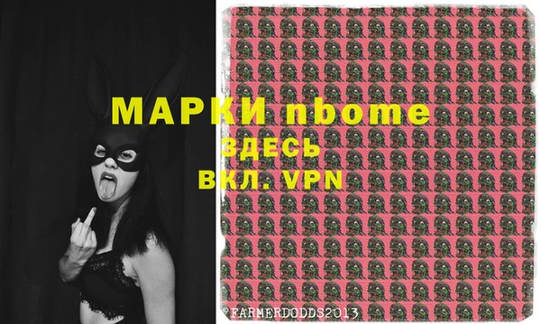 прущие грибы Аркадак