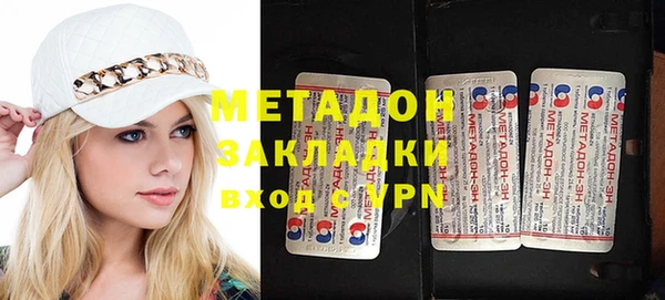 прущие грибы Аркадак