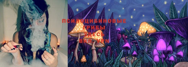 прущие грибы Аркадак