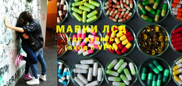 прущие грибы Аркадак