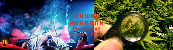 прущие грибы Аркадак