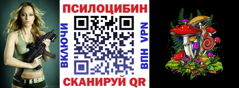 как найти наркотики  Баймак  Псилоцибиновые грибы Psilocybine cubensis 